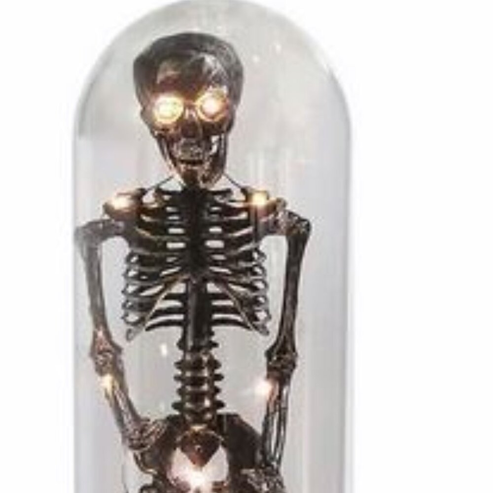 NEW~TALL Domed/Cloche Skeleton~Light Up Decoration~Day of the Dead~NEW